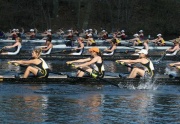 ShrewsburyRegatta.jpg